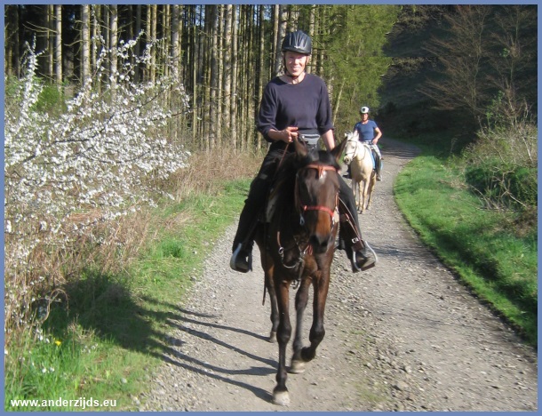 buiten