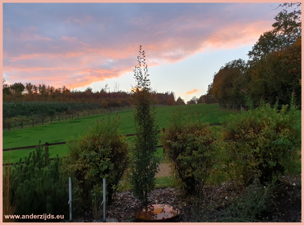 avonturen2