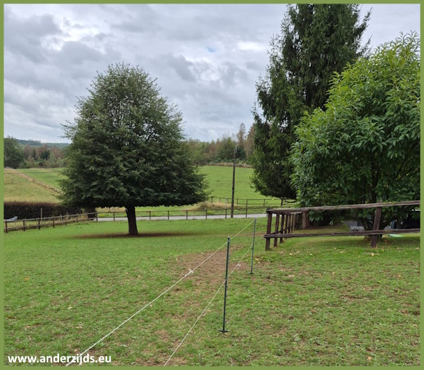 groener01